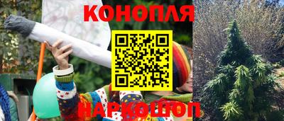 стаф Малгобек