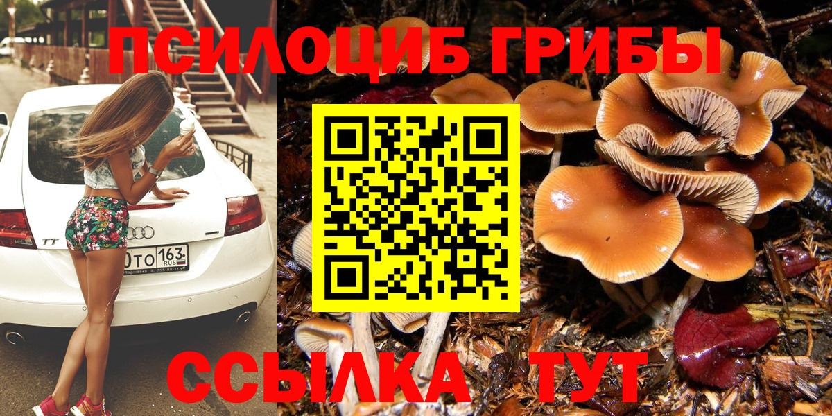 Ярцево  Галлюциногенные грибы Psilocybine cubensis  Вход с VPN 